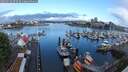 ./images/victoria/wharf/20250526/wharf20250526_073509M.jpg