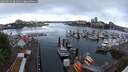 ./images/victoria/wharf/20250526/wharf20250526_081010M.jpg