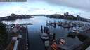 ./images/victoria/wharf/20250526/wharf20250526_081510M.jpg