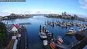 ./images/victoria/wharf/20250526/wharf20250526_082010M.jpg