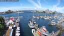 ./images/victoria/wharf/20250526/wharf20250526_112010M.jpg