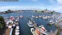 ./images/victoria/wharf/20250526/wharf20250526_120510M.jpg