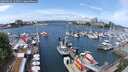./images/victoria/wharf/20250526/wharf20250526_125011M.jpg