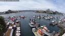 ./images/victoria/wharf/20250526/wharf20250526_135010M.jpg