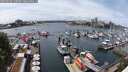 ./images/victoria/wharf/20250526/wharf20250526_135510M.jpg