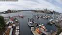 ./images/victoria/wharf/20250526/wharf20250526_140510M.jpg