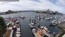./images/victoria/wharf/20250526/wharf20250526_141011M.jpg
