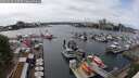 ./images/victoria/wharf/20250526/wharf20250526_145510M.jpg