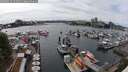 ./images/victoria/wharf/20250526/wharf20250526_151010M.jpg
