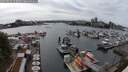 ./images/victoria/wharf/20250526/wharf20250526_153508M.jpg