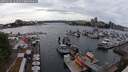 ./images/victoria/wharf/20250526/wharf20250526_161011M.jpg