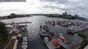 ./images/victoria/wharf/20250526/wharf20250526_170510M.jpg