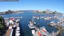 ./images/victoria/wharf/20250528/wharf20250528_110510M.jpg