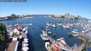 ./images/victoria/wharf/20250528/wharf20250528_113508M.jpg