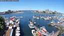./images/victoria/wharf/20250528/wharf20250528_114011M.jpg