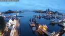 ./images/victoria/wharf/20250529/wharf20250529_045009M.jpg