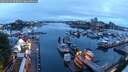 ./images/victoria/wharf/20250529/wharf20250529_050509M.jpg