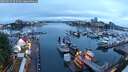 ./images/victoria/wharf/20250529/wharf20250529_051009M.jpg