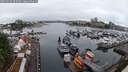 ./images/victoria/wharf/20250529/wharf20250529_055009M.jpg