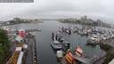 ./images/victoria/wharf/20250529/wharf20250529_082010M.jpg