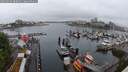 ./images/victoria/wharf/20250529/wharf20250529_083011M.jpg