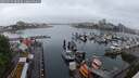 ./images/victoria/wharf/20250529/wharf20250529_083510M.jpg