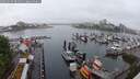 ./images/victoria/wharf/20250529/wharf20250529_084010M.jpg