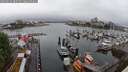 ./images/victoria/wharf/20250529/wharf20250529_085510M.jpg