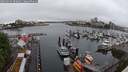 ./images/victoria/wharf/20250529/wharf20250529_090011M.jpg