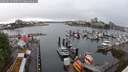 ./images/victoria/wharf/20250529/wharf20250529_090510M.jpg