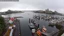 ./images/victoria/wharf/20250529/wharf20250529_091010M.jpg