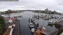 ./images/victoria/wharf/20250529/wharf20250529_093011M.jpg
