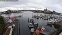 ./images/victoria/wharf/20250529/wharf20250529_094010M.jpg
