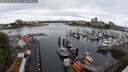 ./images/victoria/wharf/20250529/wharf20250529_094510M.jpg
