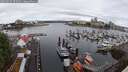 ./images/victoria/wharf/20250529/wharf20250529_095509M.jpg