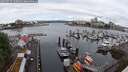 ./images/victoria/wharf/20250529/wharf20250529_100012M.jpg
