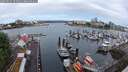 ./images/victoria/wharf/20250529/wharf20250529_102011M.jpg