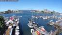 ./images/victoria/wharf/20250529/wharf20250529_113012M.jpg