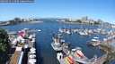 ./images/victoria/wharf/20250529/wharf20250529_113510M.jpg