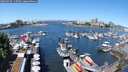./images/victoria/wharf/20250529/wharf20250529_115509M.jpg