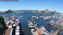 ./images/victoria/wharf/20250529/wharf20250529_121011M.jpg
