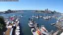 ./images/victoria/wharf/20250529/wharf20250529_135010M.jpg