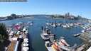 ./images/victoria/wharf/20250529/wharf20250529_135509M.jpg