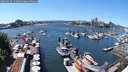 ./images/victoria/wharf/20250529/wharf20250529_141011M.jpg