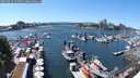 ./images/victoria/wharf/20250529/wharf20250529_143011M.jpg