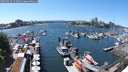 ./images/victoria/wharf/20250529/wharf20250529_143508M.jpg