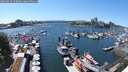 ./images/victoria/wharf/20250529/wharf20250529_150012M.jpg