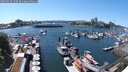 ./images/victoria/wharf/20250529/wharf20250529_150510M.jpg