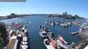 ./images/victoria/wharf/20250529/wharf20250529_151511M.jpg