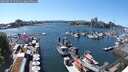 ./images/victoria/wharf/20250529/wharf20250529_152011M.jpg